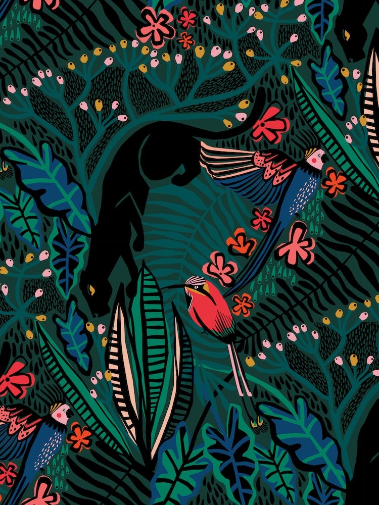 Wonder Jungle