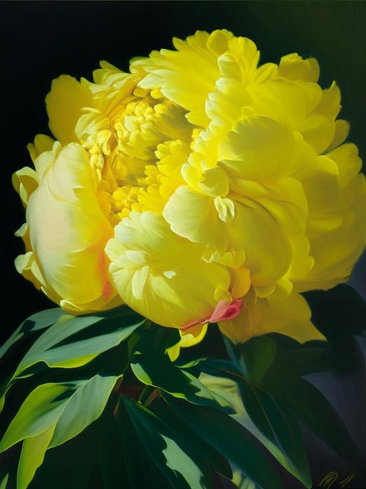 Monsieur Jules Elie Peonies Yellow Colourful 1 Painting