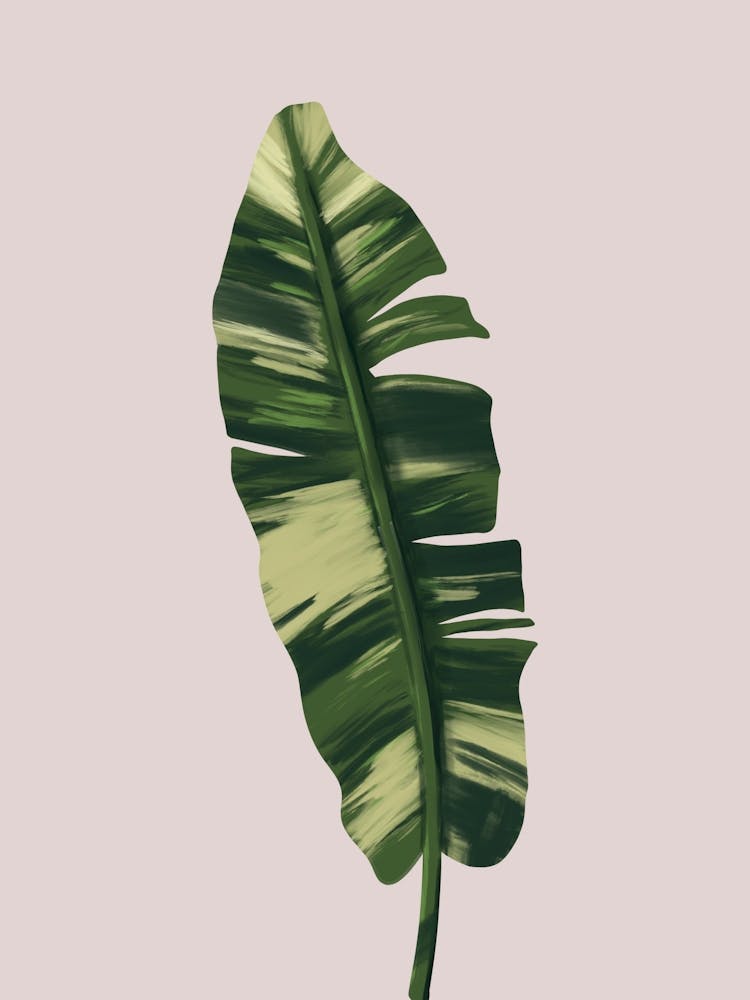 Tropical Banana Leaf