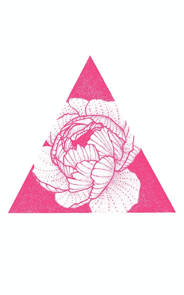 Pivoine Rose