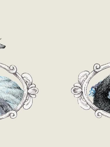 Portrait Of Lady Ostrich