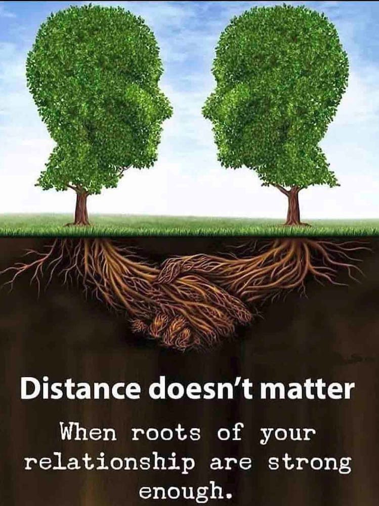 Distance Doesn'T Matter When Roots Of Your Relationship Are Enough