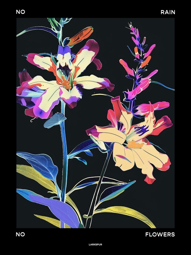 No Rain No Flowers Poster Larkspur 3