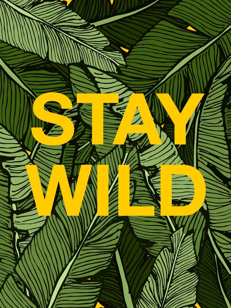 Stay Wild