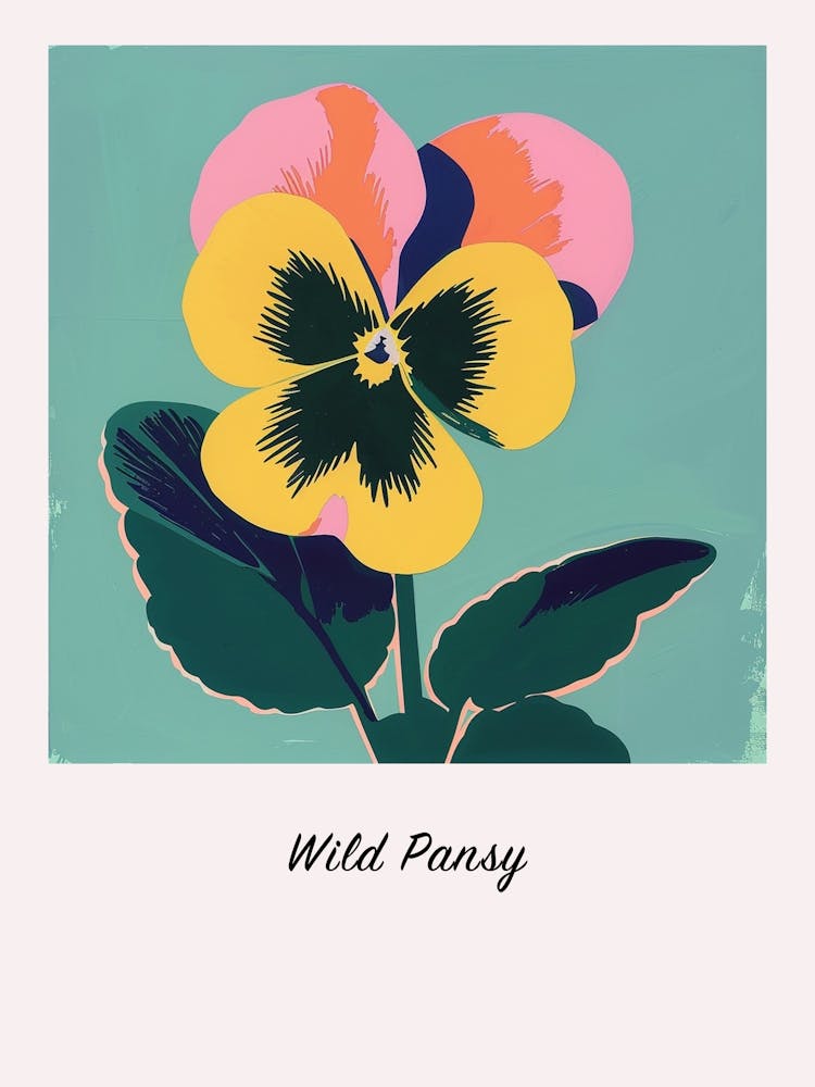 Wild Pansy 2 Square Flower Illustration Poster