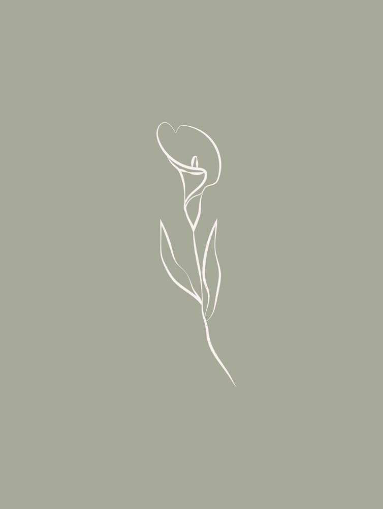 Line Art Flower 3 - Sage Green