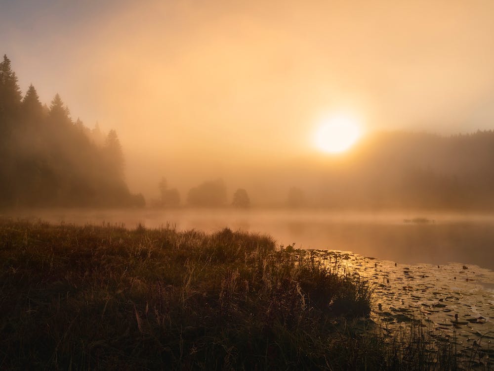 The Incredible Light Of An October Morning