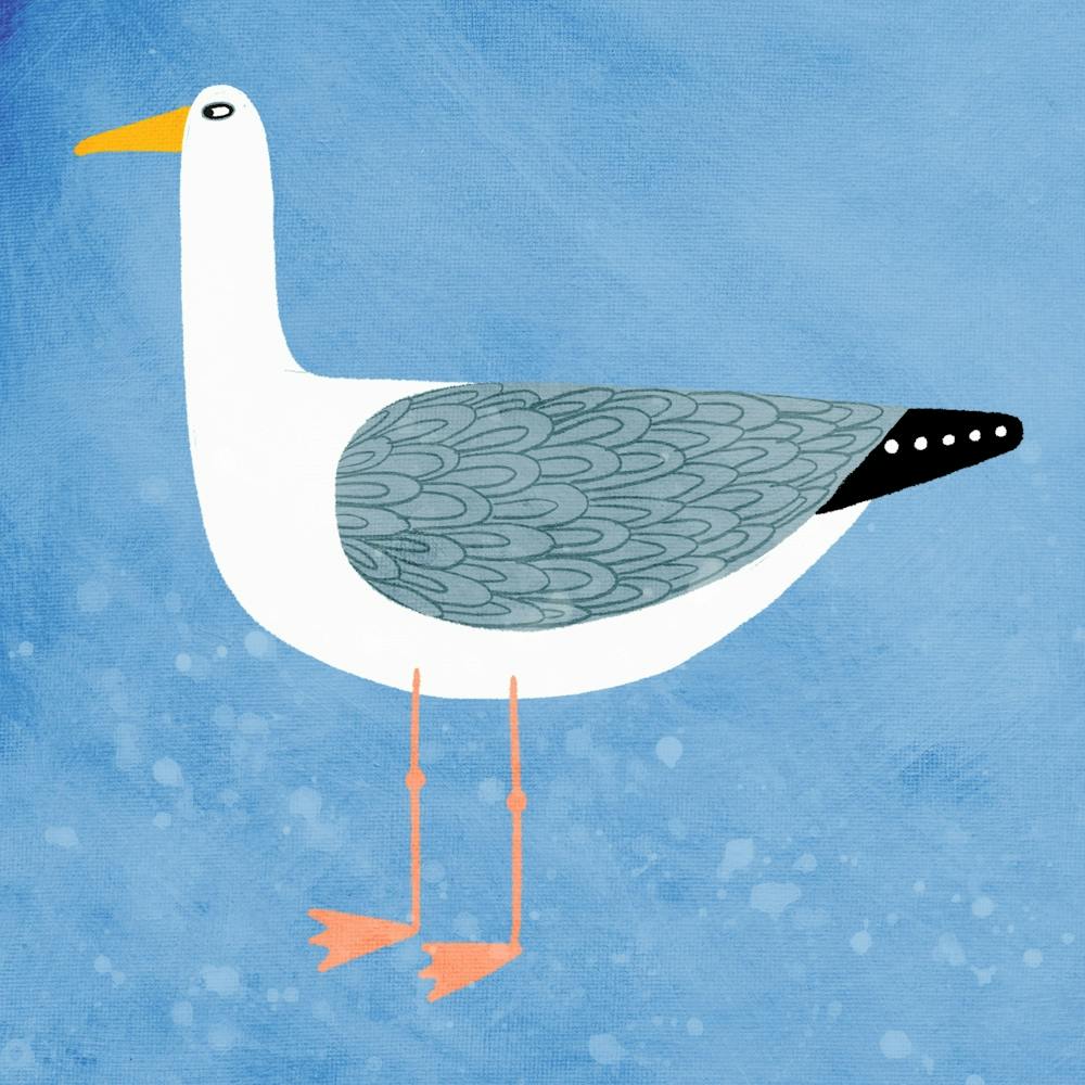 Cheeky Seagull on Blue