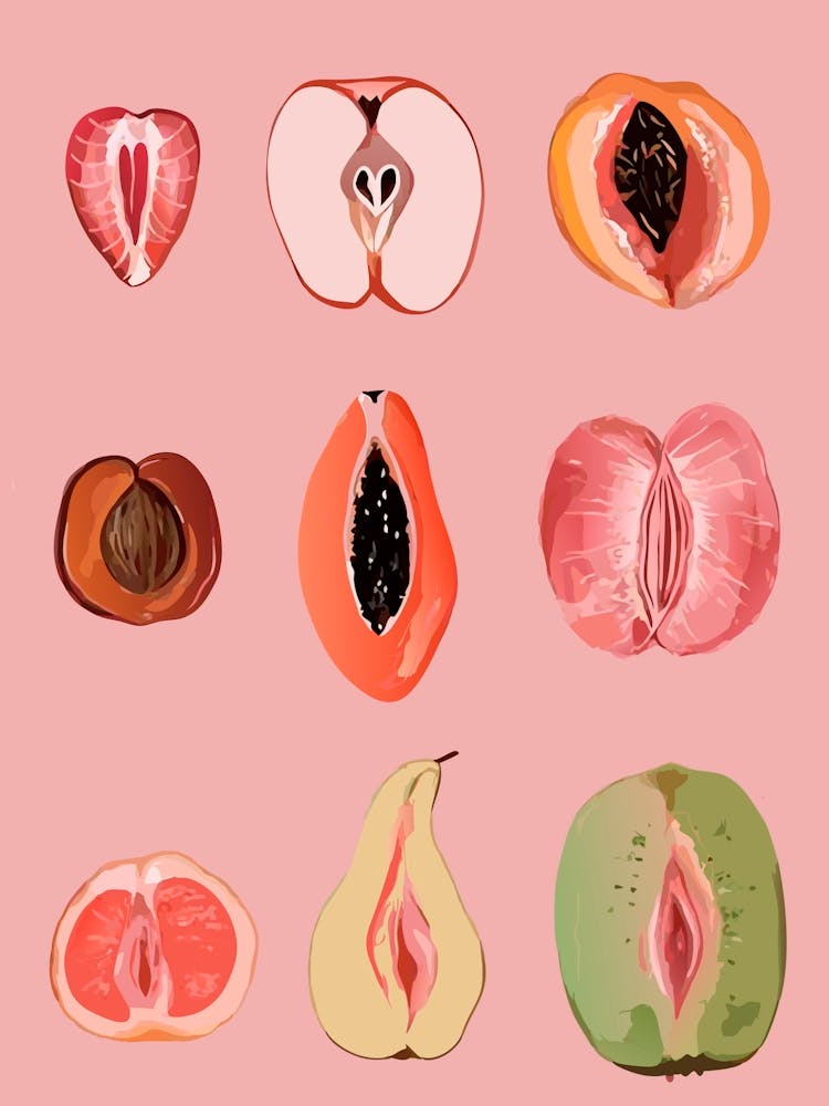 Fruit Vector Illustration
