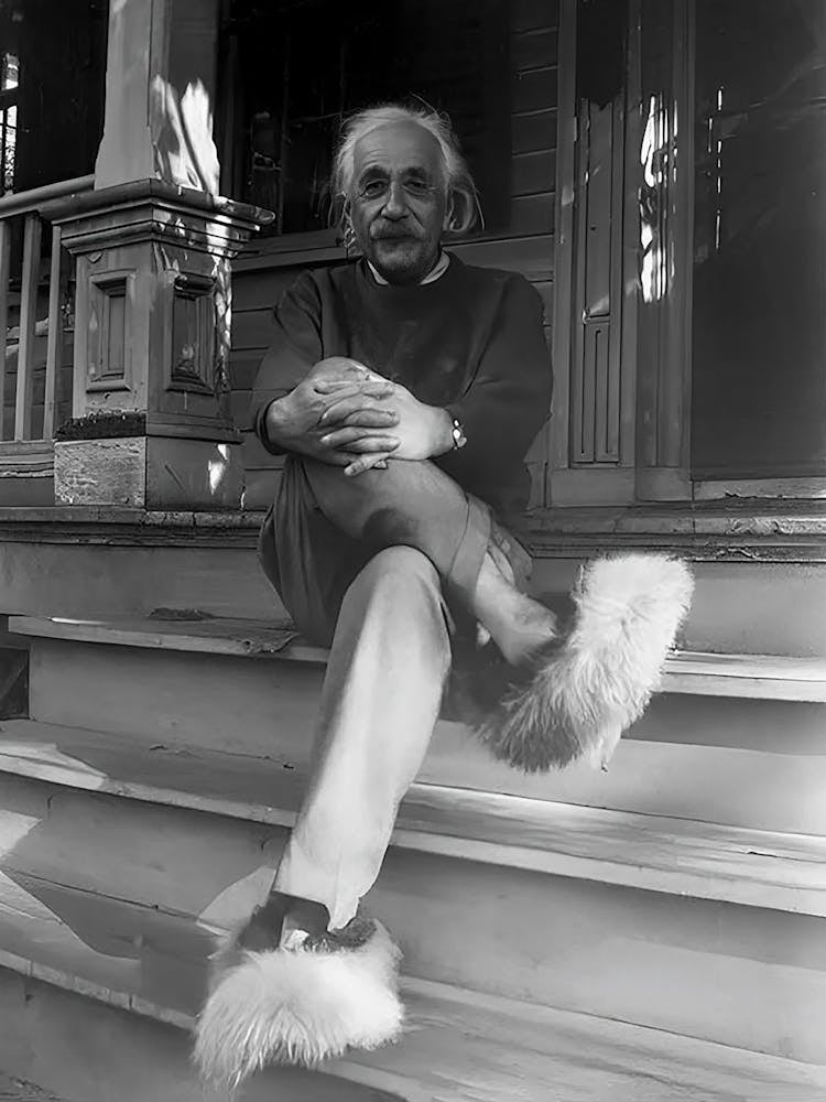 Albert Einstein Fuzzy Slippers