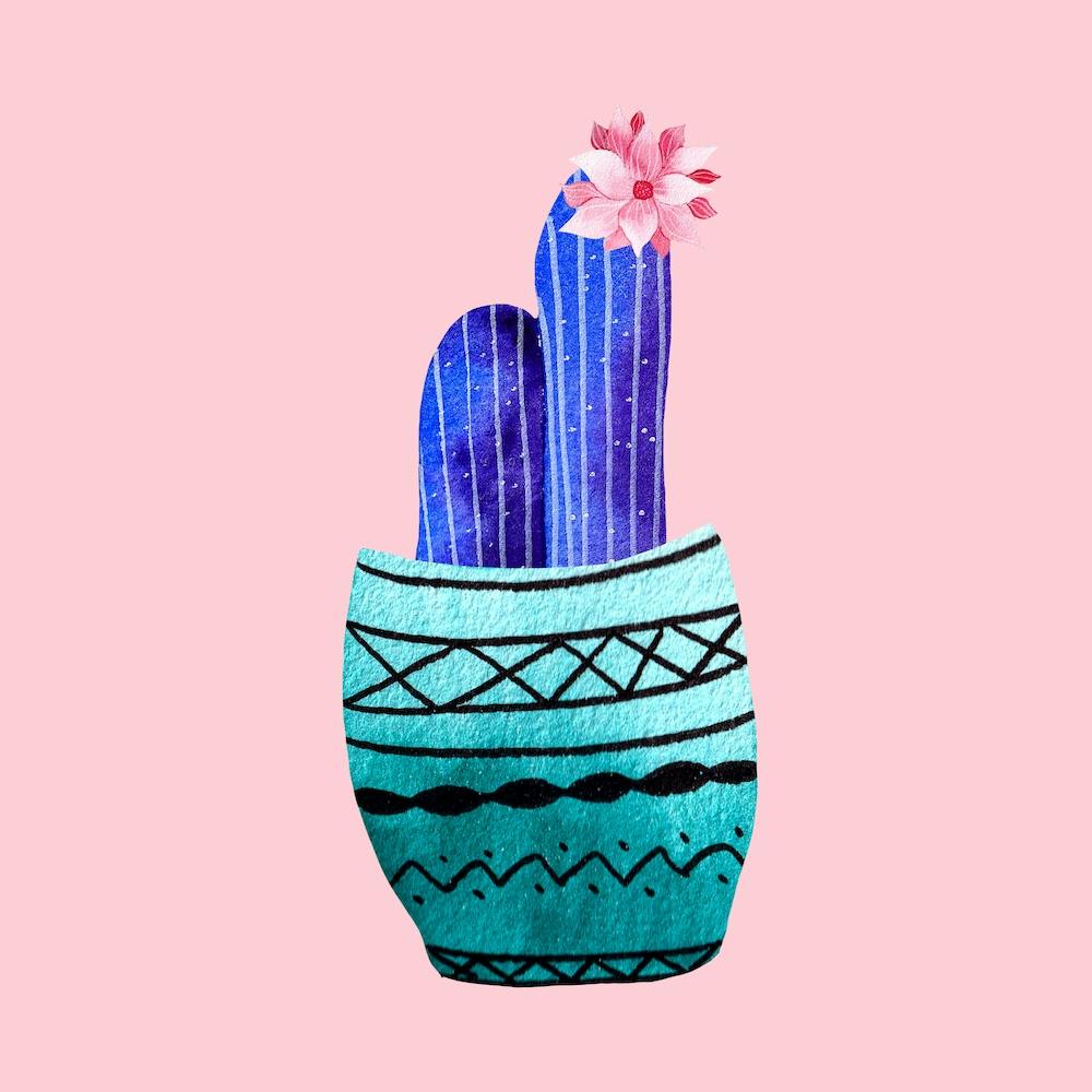 Galactic Cactus Square