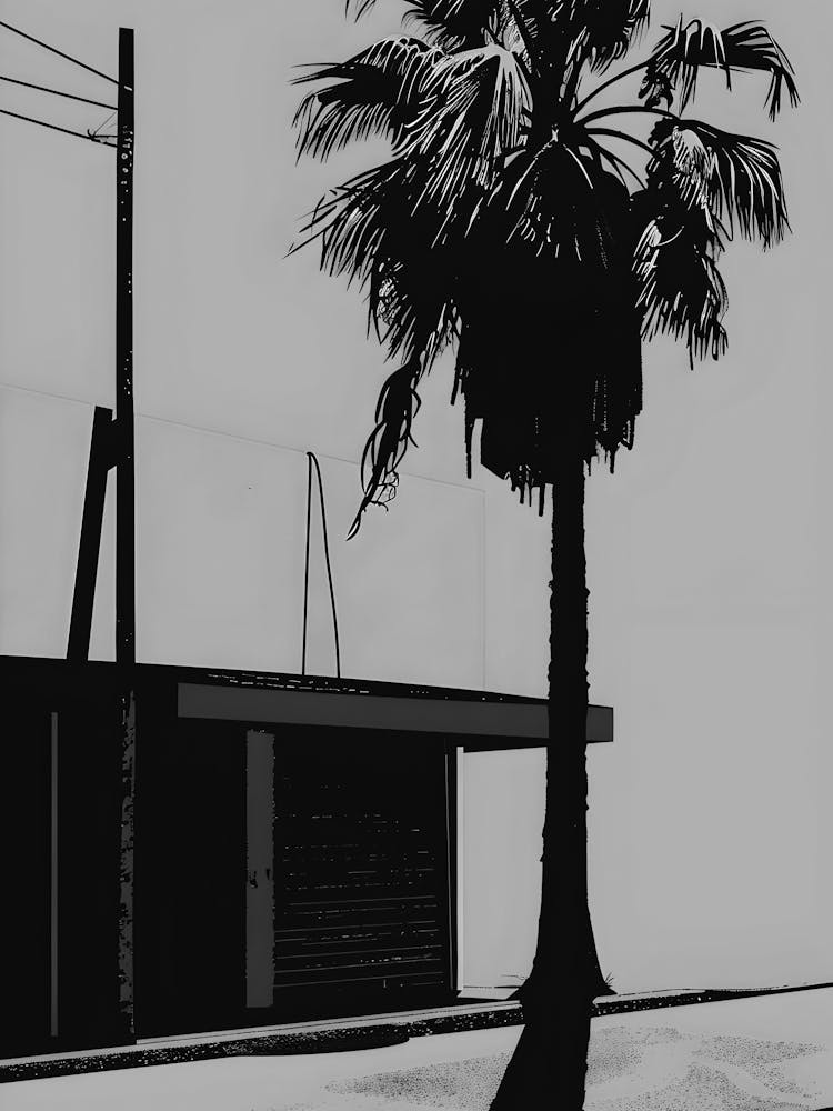 Palm Tree 1