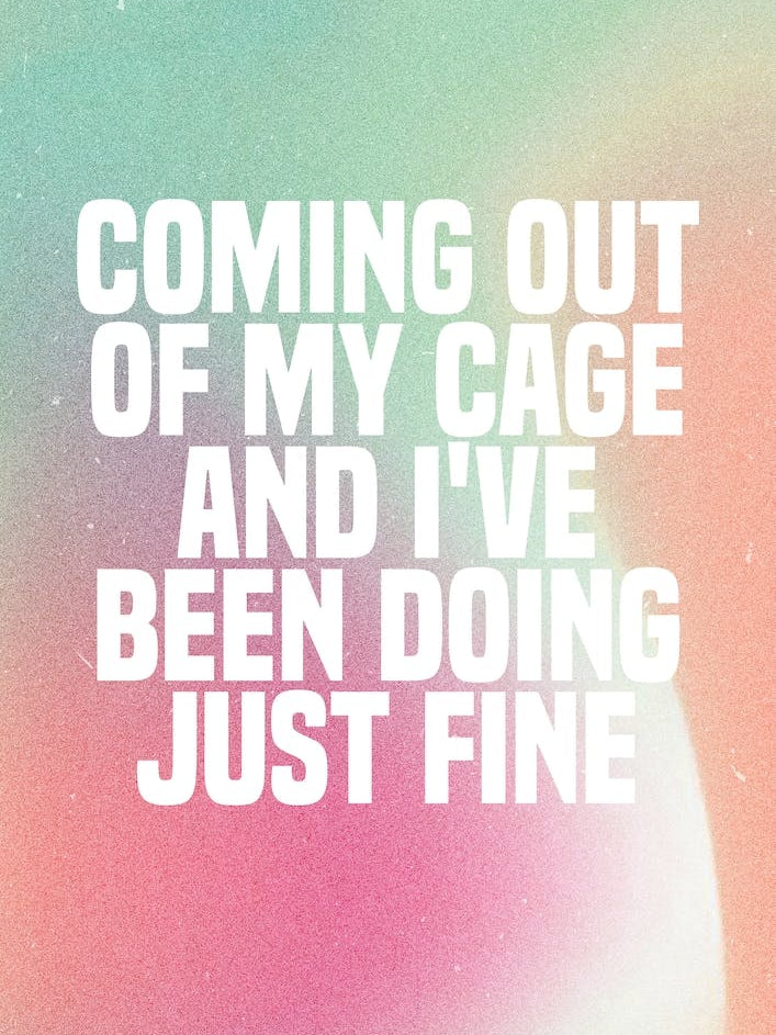 Coming Out Of My Cage, The Killers
