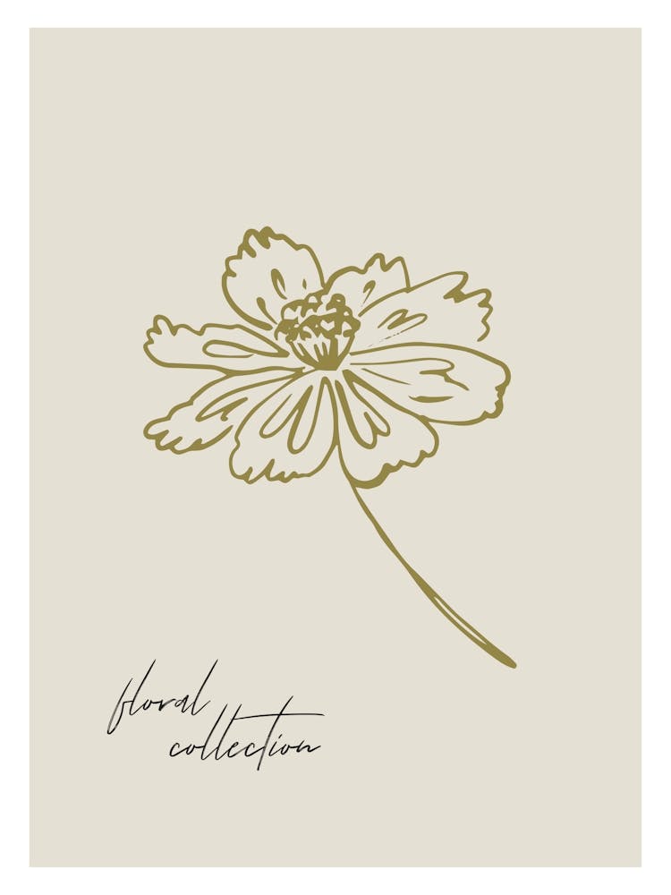 Harmonic lines no 08