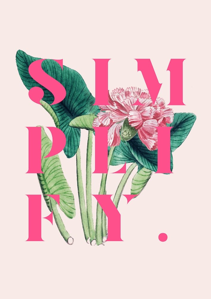 Simplifier