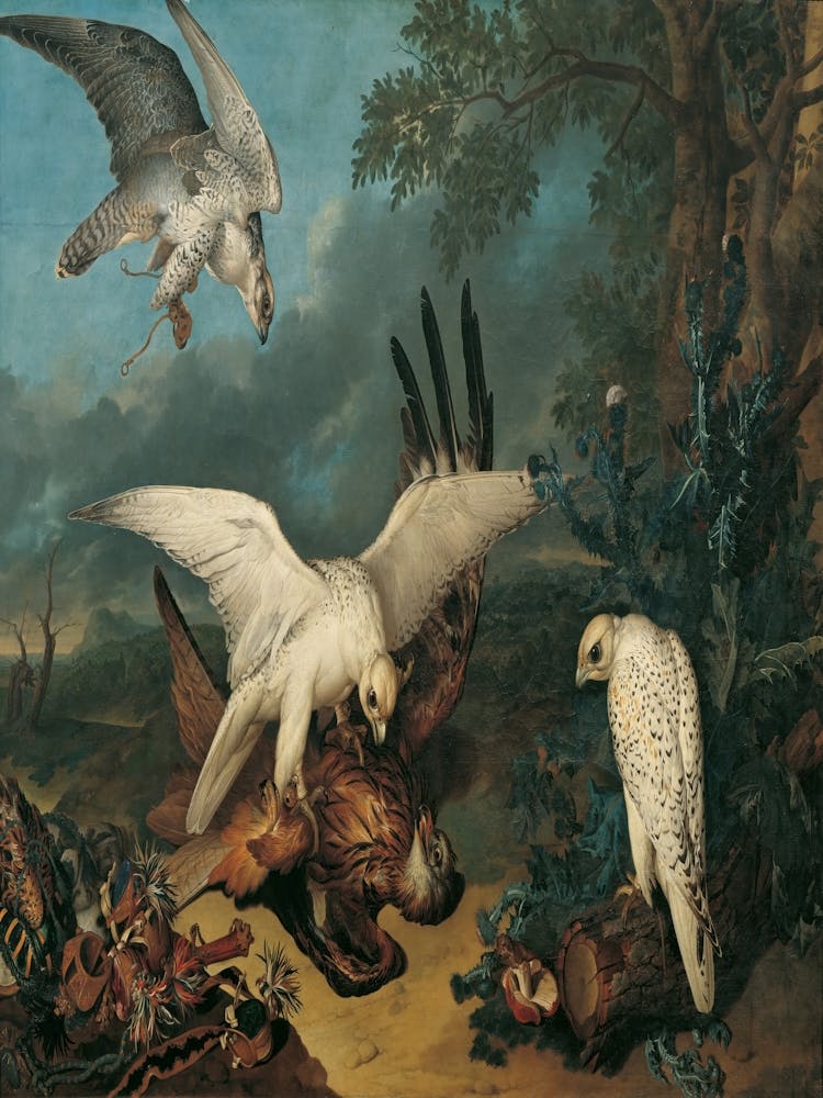Falken und Adler