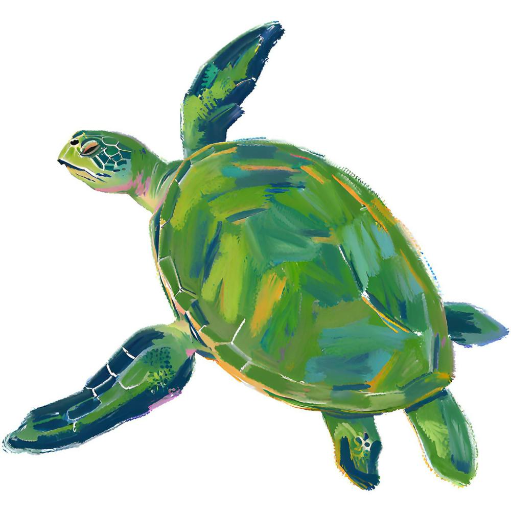 Green Sea Turtle 04