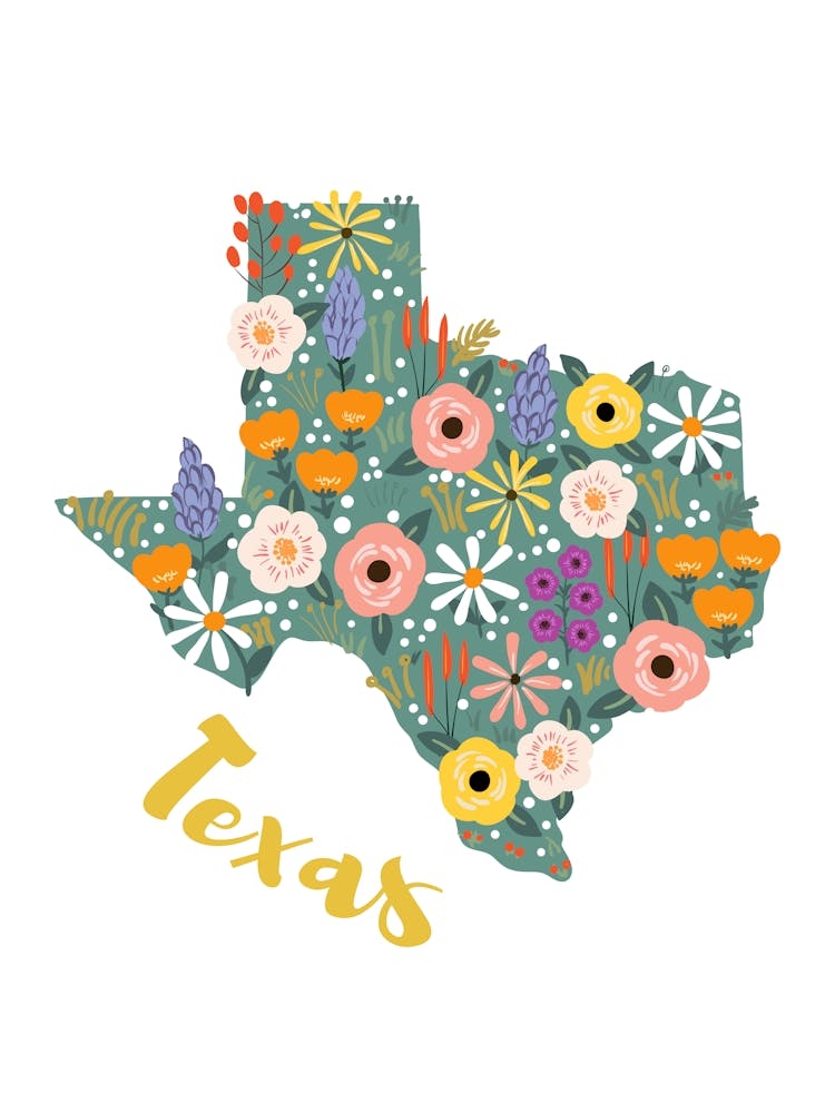 Texas Floral Map Art