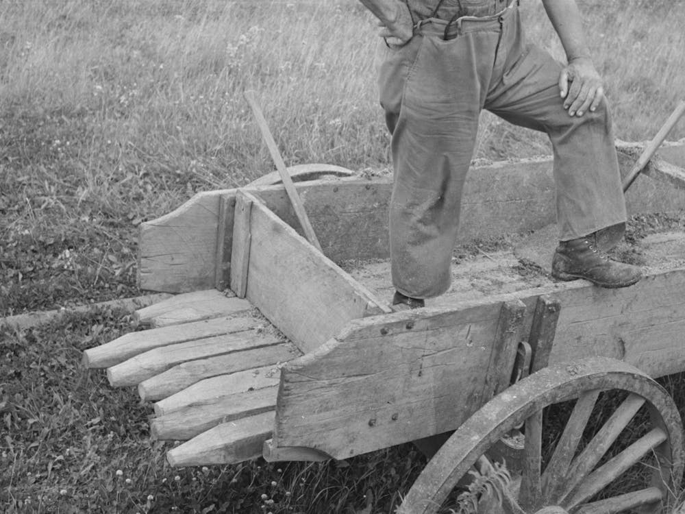 Detail Of Wagon On Cut Over Farm, Near Gheen, Minnesota By Russell Lee