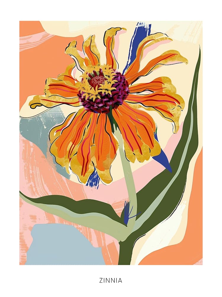 Colourful Flower Illustration Poster Zinnia 1