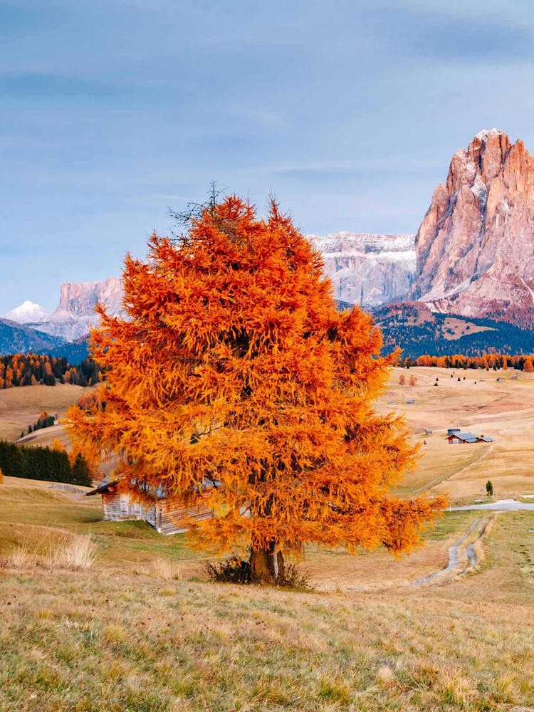 Autumn In The Dolomites 2