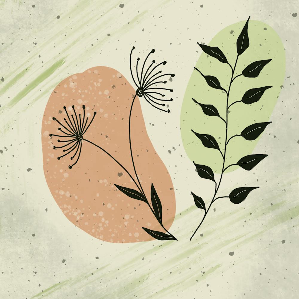Flora Floral Flower Nature Plant Doodle