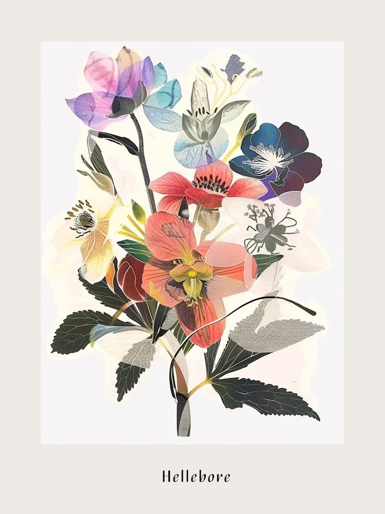 Hellebore 2 Collage Flower Bouquet Poster