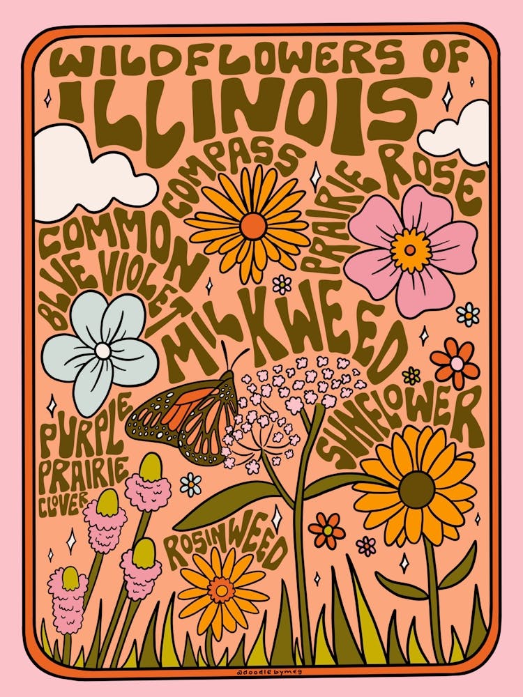 Illinois Wildflowers