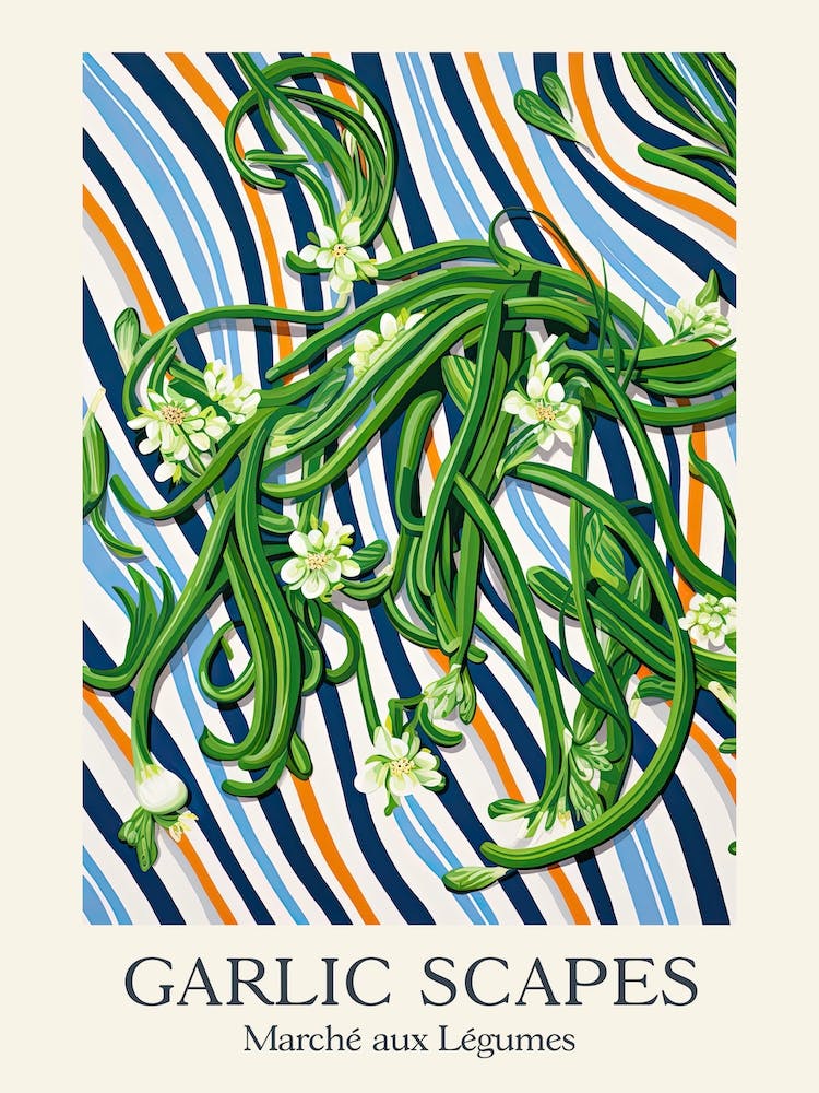 Marche Aux Legumes Garlic Scapes Summer Illustration 2