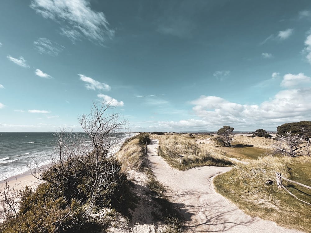 Coastal Dune