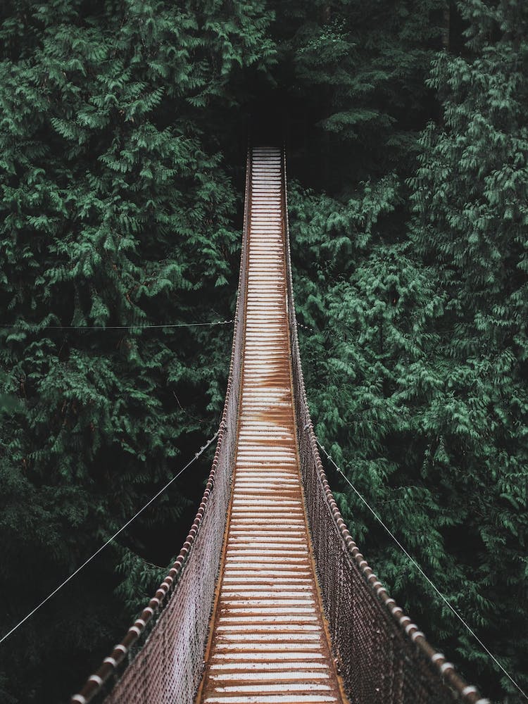 Lynn Valley Vancouver