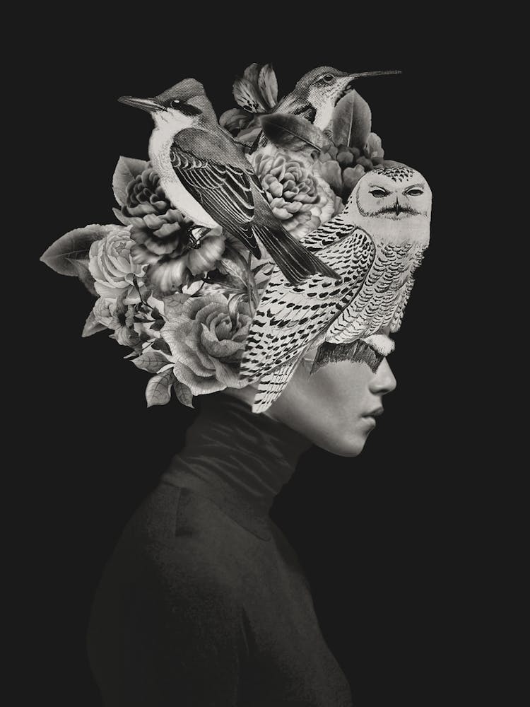 Lady With Birds(Portrait)