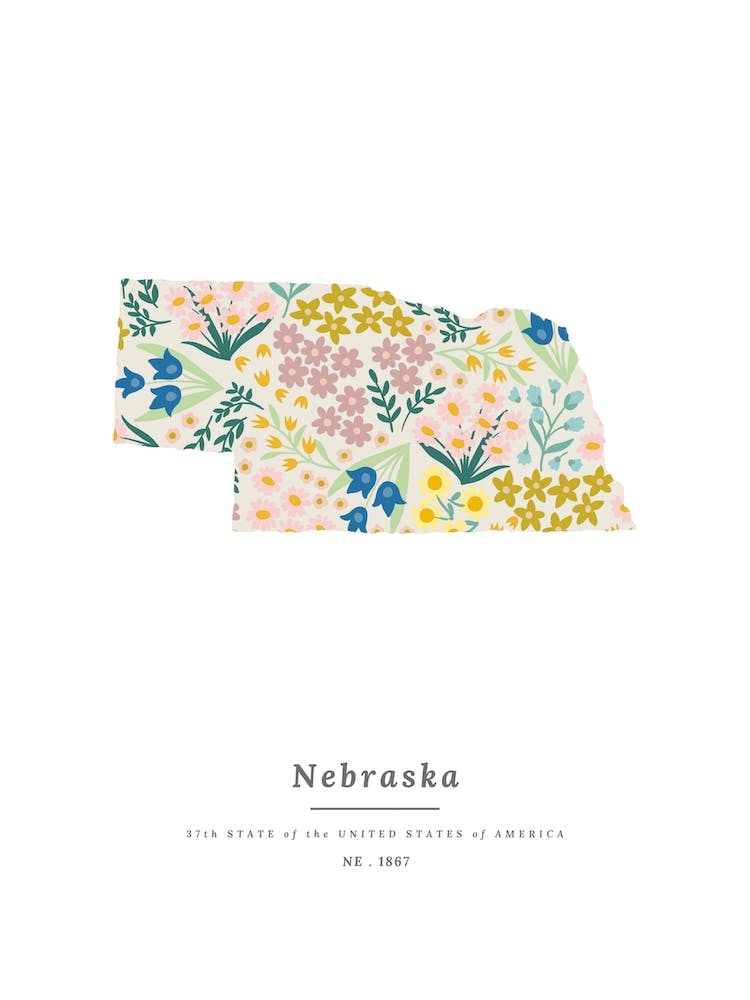 Nebraska | Wildflower Mix