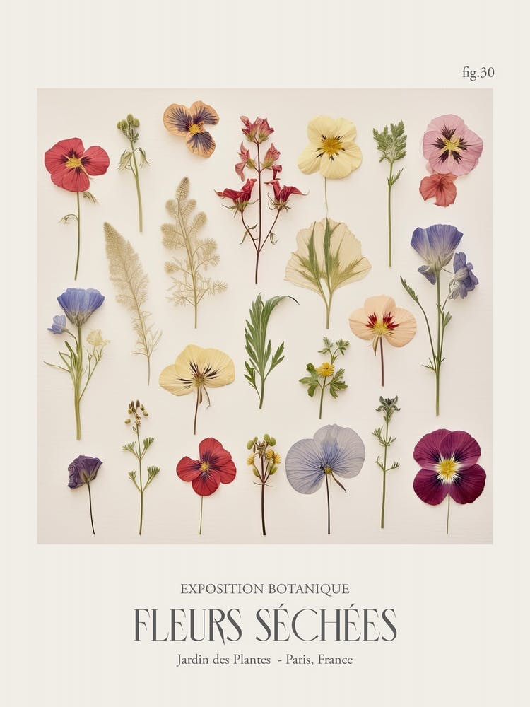 Fleurs Sechees, Dried Flowers Exhibition Poster 30