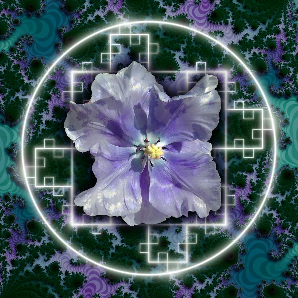 Dark chaos - Fractal realm