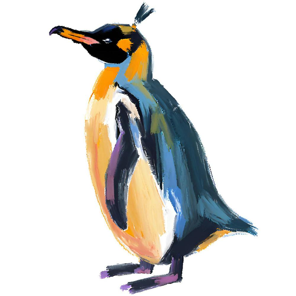 King Penguin 07