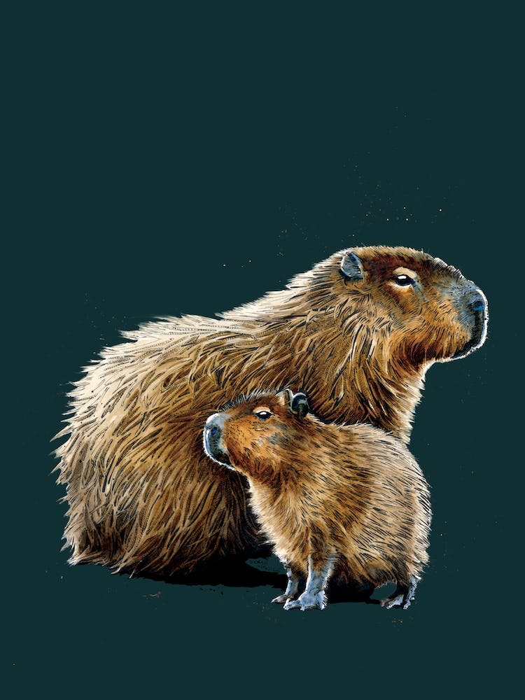 The Capybaras On Deep Cyan