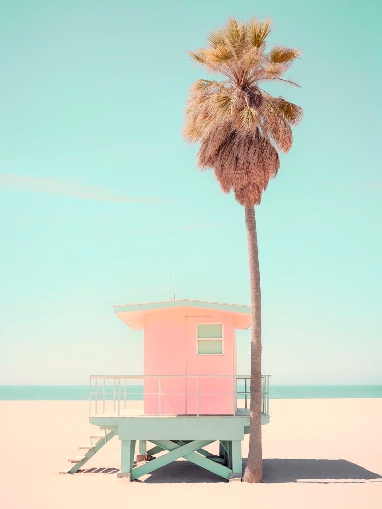 California Dreaming - Beachside Pink Bliss