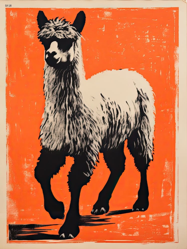 Alpaca, Woodblock Animal Drawing 4