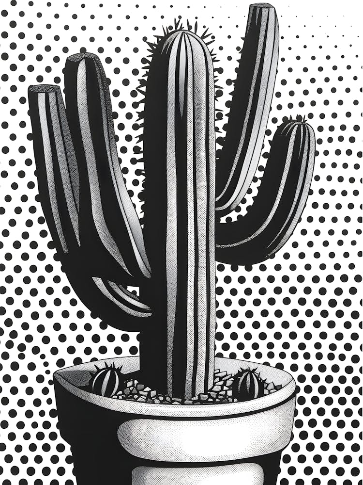 Cactus 13