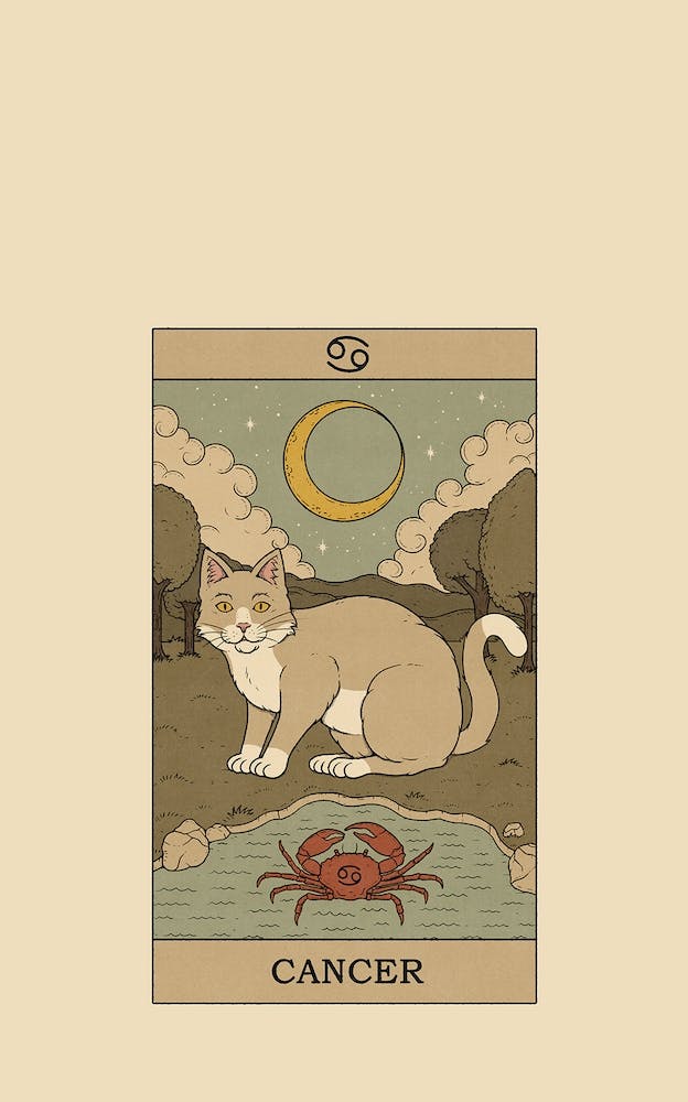Cancer Cat