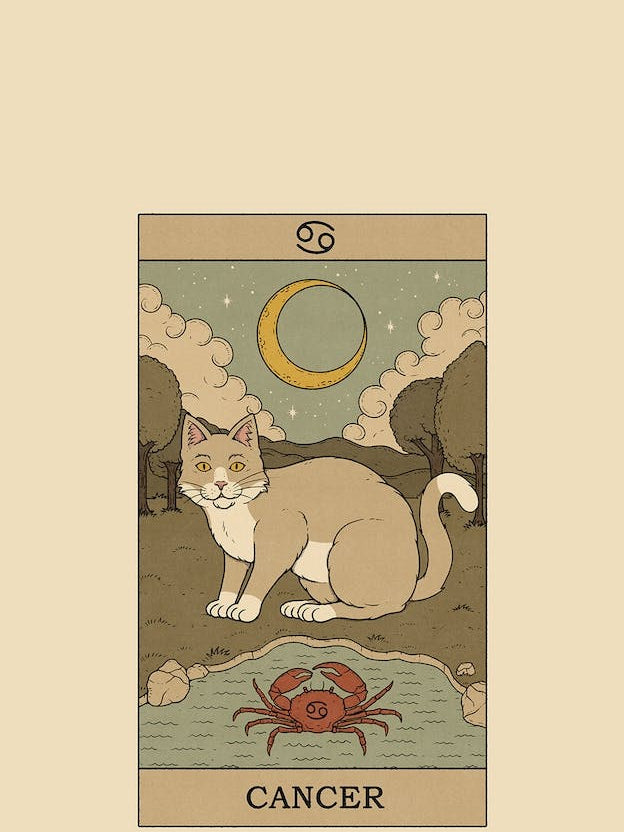 Cancer Cat