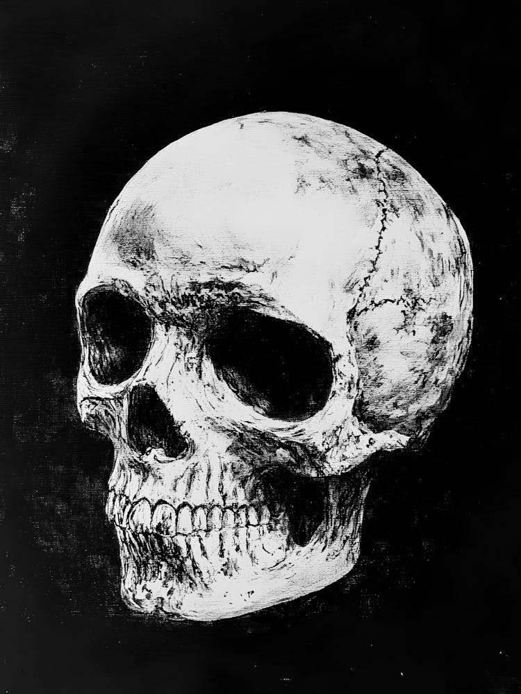 Skull On A Black Background