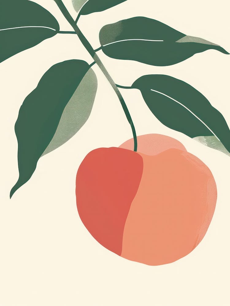Nectarines Close Up Illustration 1