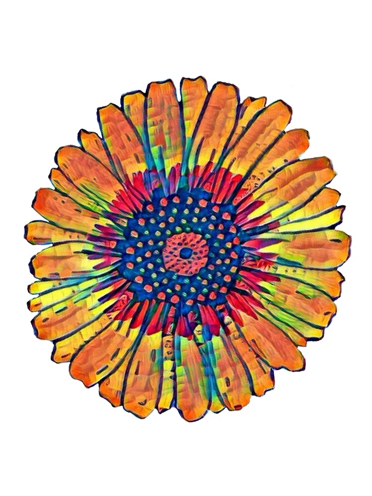 Flower Study One