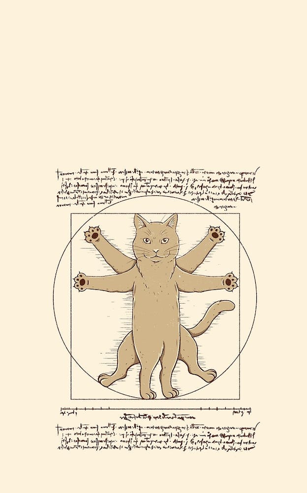 Vitruvian Cat