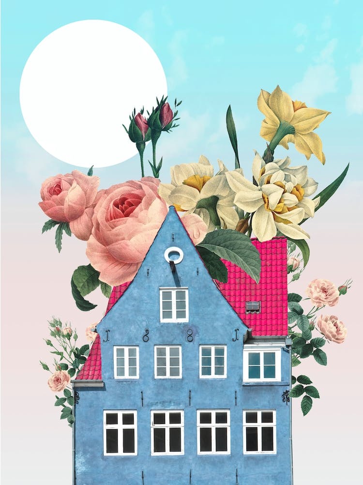 Wallflower 4