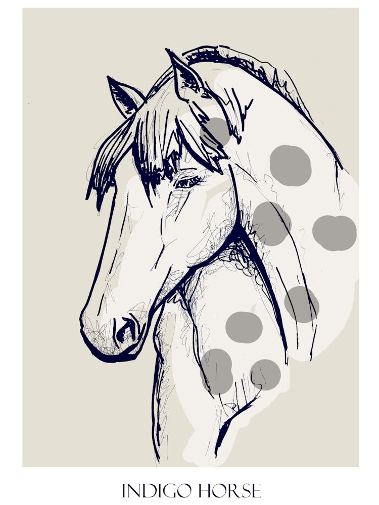 Indigo Horse