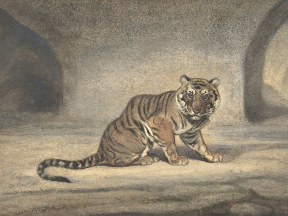 Tiger In Cave, Muted Neutral Vintage Animal Art