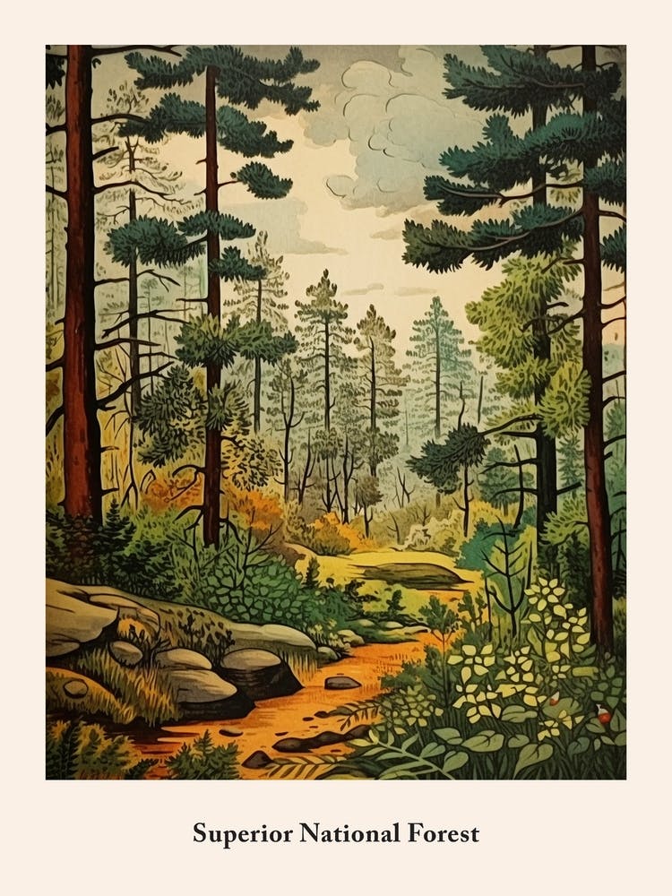 Superior National Forest